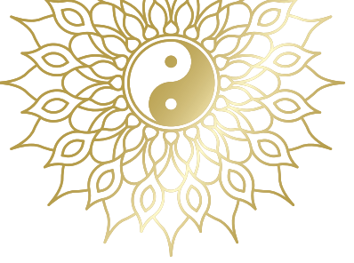 heilberatung hamburg kontakt