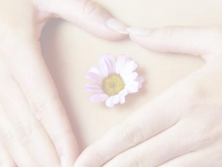 Worte | Heilberatung Melanie Friedrich - Hamburg