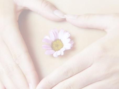 Limit-Leben | Heilberatung Melanie Friedrich - Hamburg